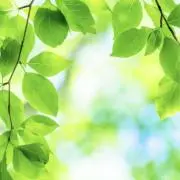 min_発送は平日のみ、急ぎの方要連絡