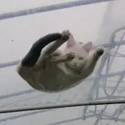 やなみ