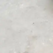 はるる
