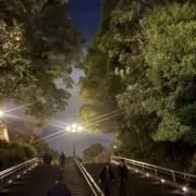 ラミン・Hの画像