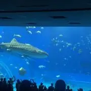 ︎__.mr6. プロフ必読の画像