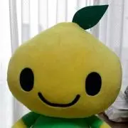 コーラスシルヴァの画像