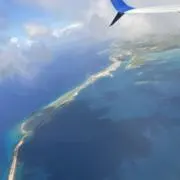 vyoの画像
