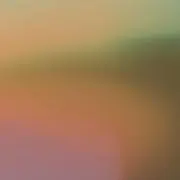 めるかるる