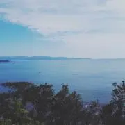 M..の画像
