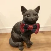 punisukeの画像