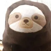 ナマケモノ007♪の画像