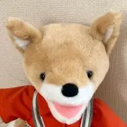 こんの画像