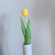 latte/断捨離中◎の画像