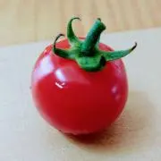 ｛プロフ必読｝黄色い花