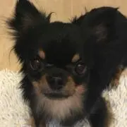 めぐもぐ