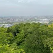 しょうの画像