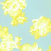 みい