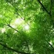 14時までのご購入即日発送☆はづき❁の画像