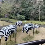 (^。^)の画像
