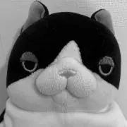 断捨離大作戦！の画像