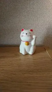 ねこまめの画像