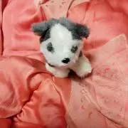 リュウ坊断捨中!一部除売り尽くし希望！の画像