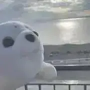 れあち