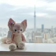 TOMISO/ポケモンカード300円均一の画像