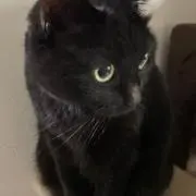 まーちゃん