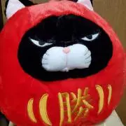 なぽり
