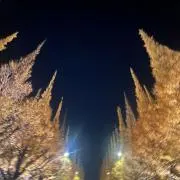 URR⭐︎⭐︎⭐︎の画像