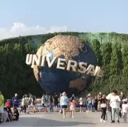 オリーブの画像