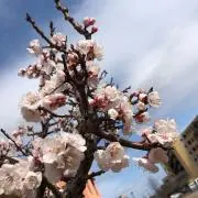 てっちゃんの画像