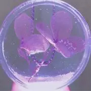 モフ丸