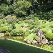 ぴーさん