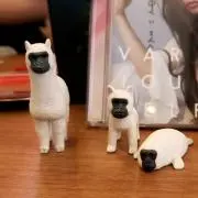 なー。の画像