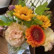 ラナンキュラスの画像
