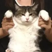 ゆかり