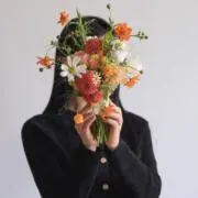 ありの画像