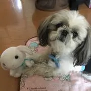 ☆りーさん☆の画像