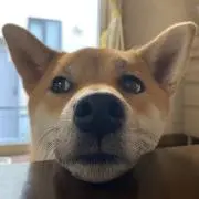 S♡Kの画像