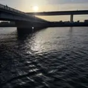 たにーの画像