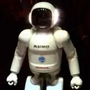 ツテ