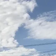 みんみん
