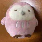 konaの画像