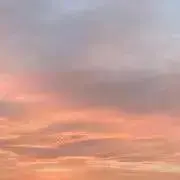 ふゅの画像