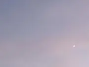 ちっぷの画像