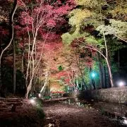 主にポケカ専門