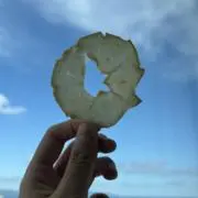 カルメンの画像