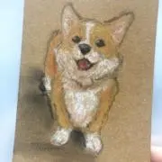 まりさんの画像
