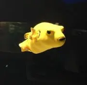 Toru88の画像