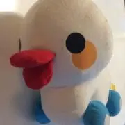 momopan