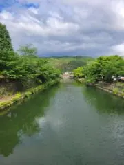 大帝大王
