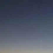 みみみの画像